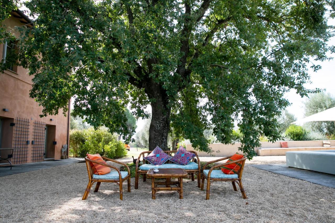 Tenuta Di Paternostro Vetralla Εξωτερικό φωτογραφία