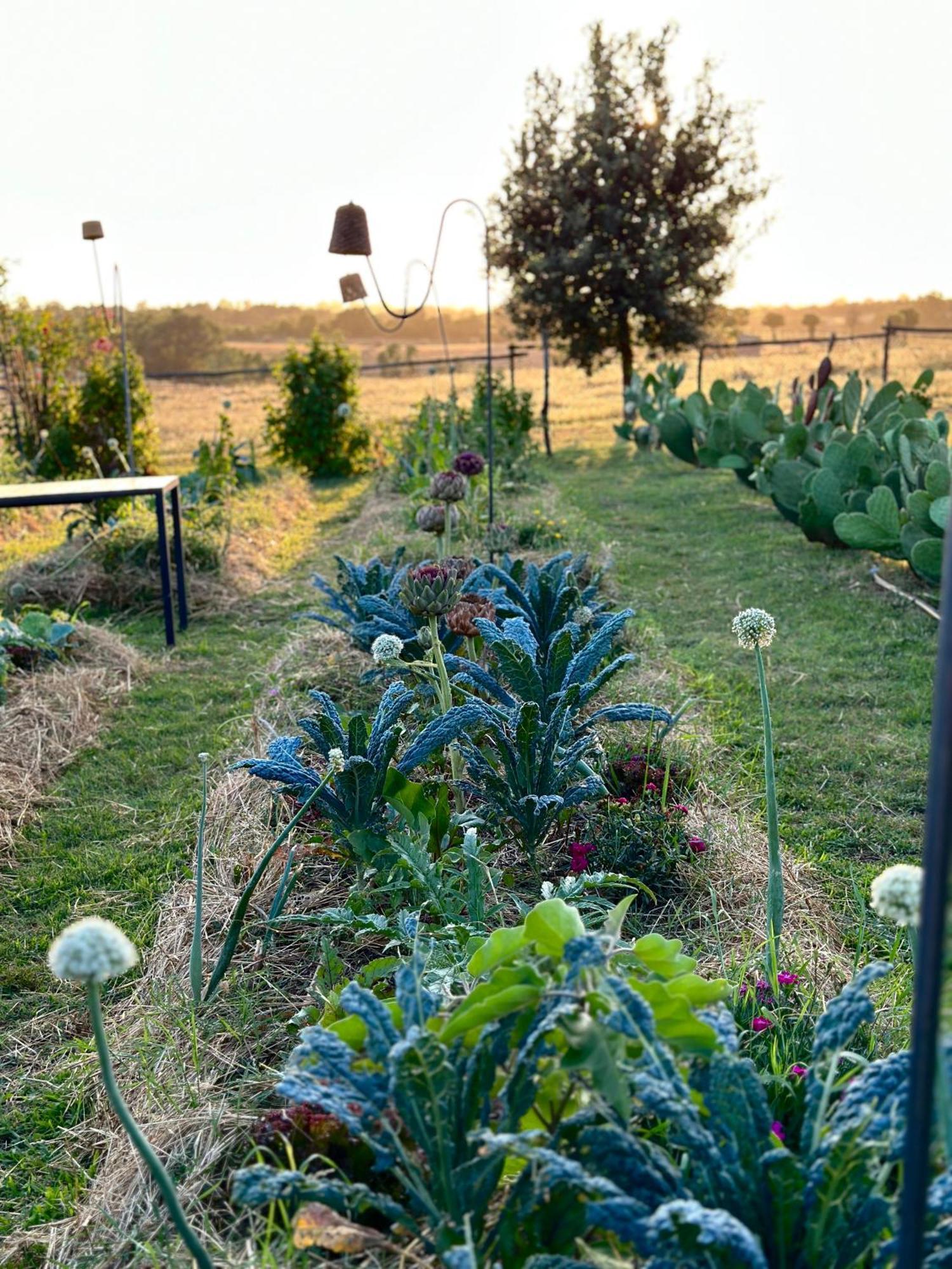 Tenuta Di Paternostro Vetralla Εξωτερικό φωτογραφία
