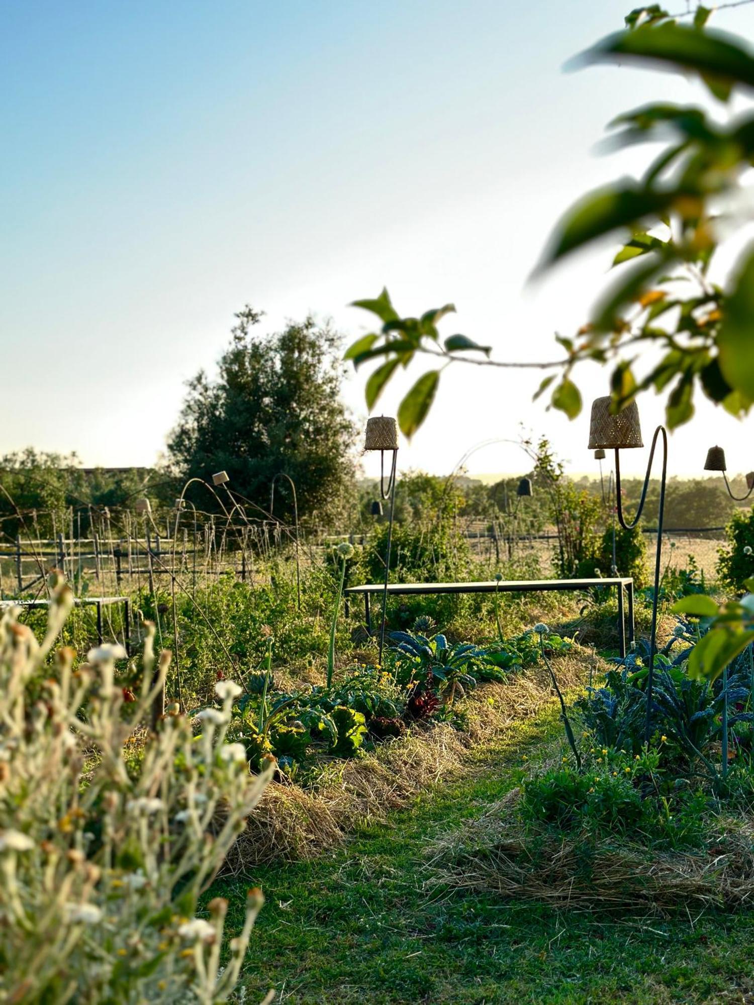 Tenuta Di Paternostro Vetralla Εξωτερικό φωτογραφία