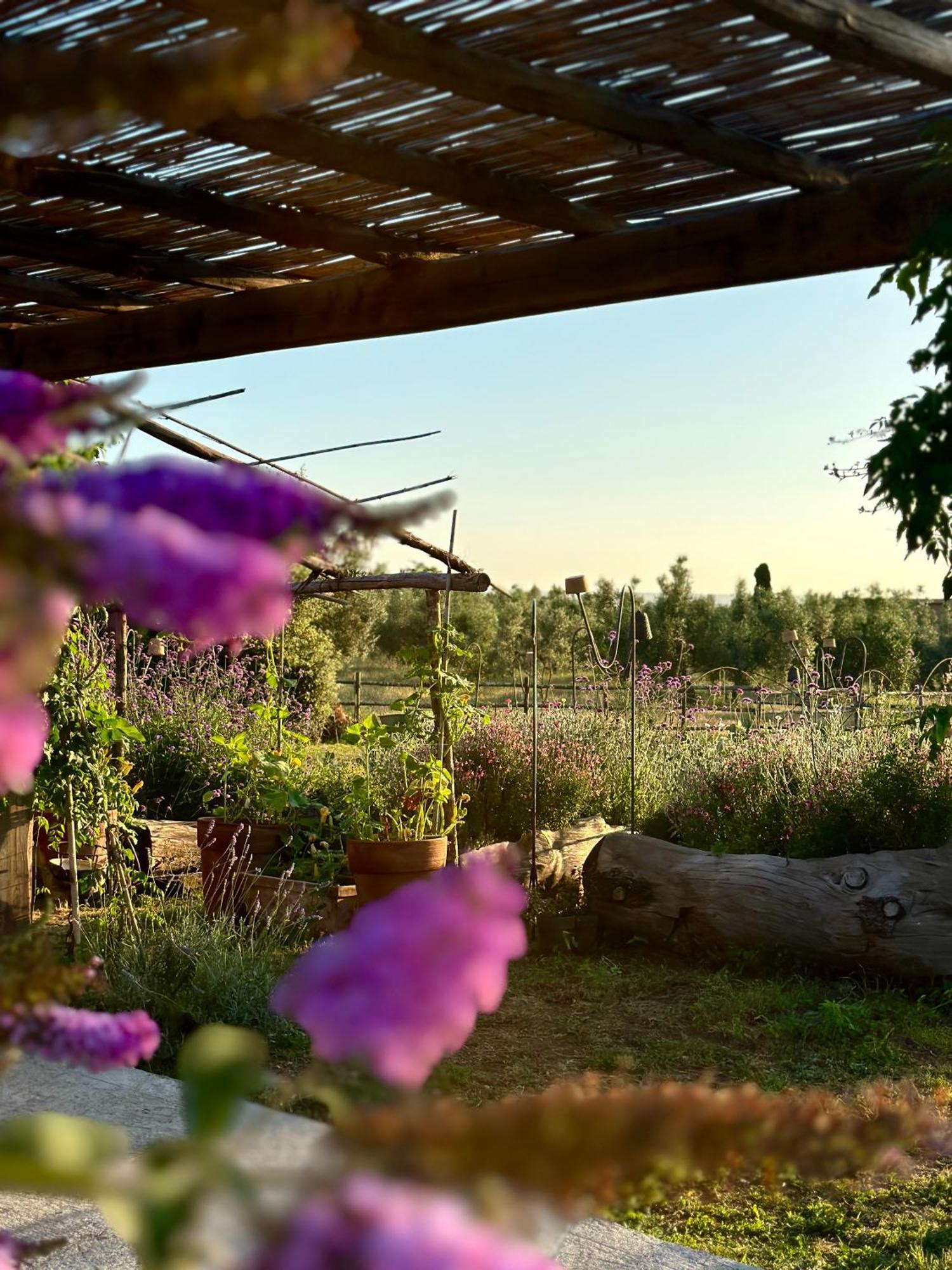 Tenuta Di Paternostro Vetralla Εξωτερικό φωτογραφία