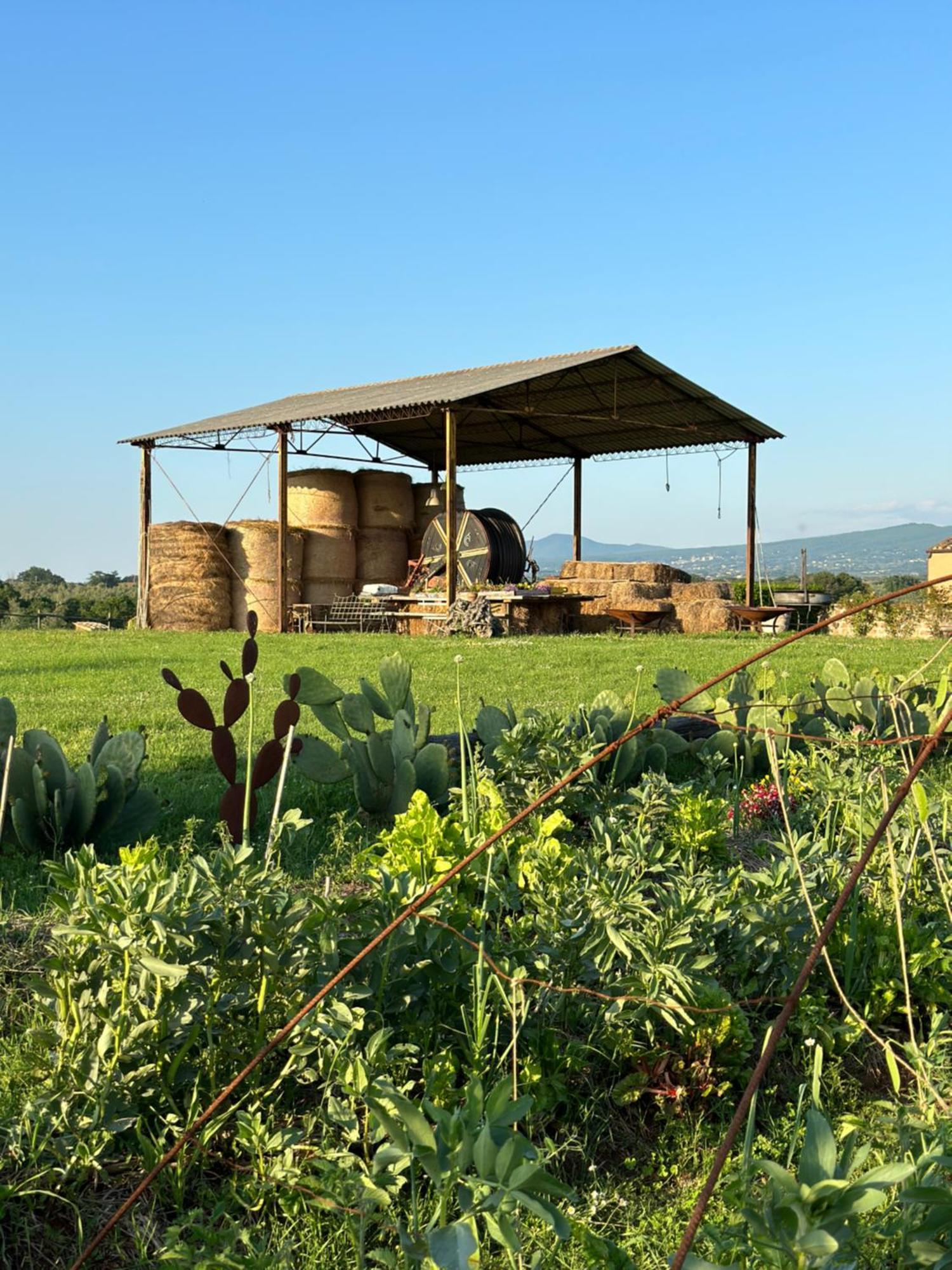 Tenuta Di Paternostro Vetralla Εξωτερικό φωτογραφία