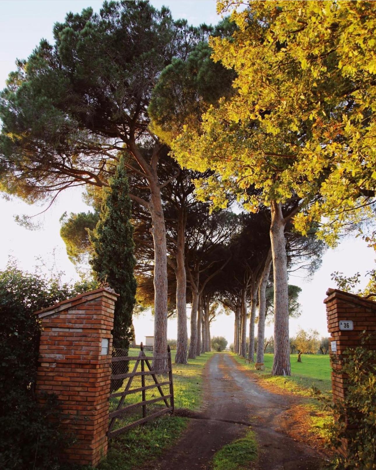 Tenuta Di Paternostro Vetralla Εξωτερικό φωτογραφία