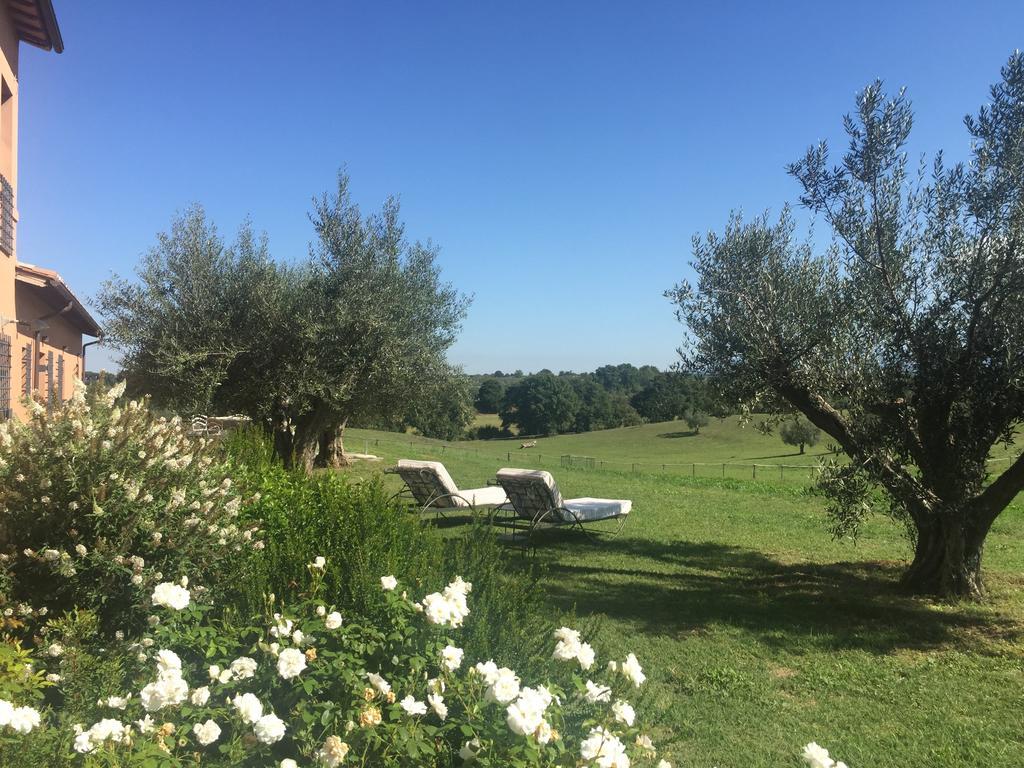 Tenuta Di Paternostro Vetralla Εξωτερικό φωτογραφία